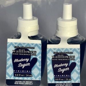 Set of 2 Blueberry Sugar Wallflower Refills!